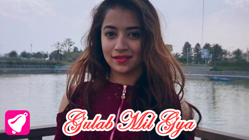 Gulab Mil Gya Lyrics by Gupz Sehra