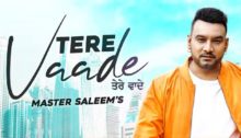 Tere Vaade Lyrics by Master Saleem